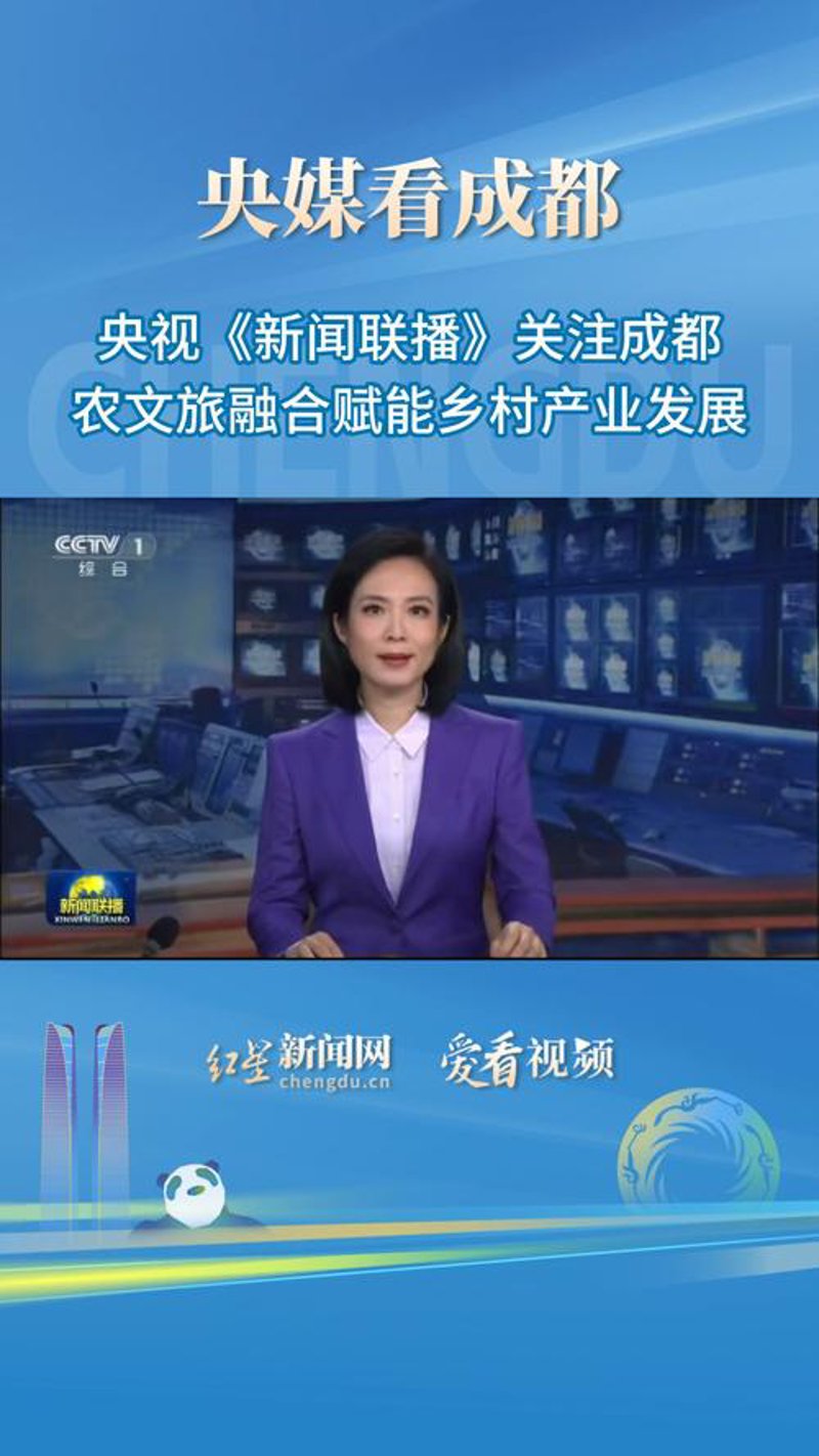 经济行业的脉动与变迁:一场深度探究